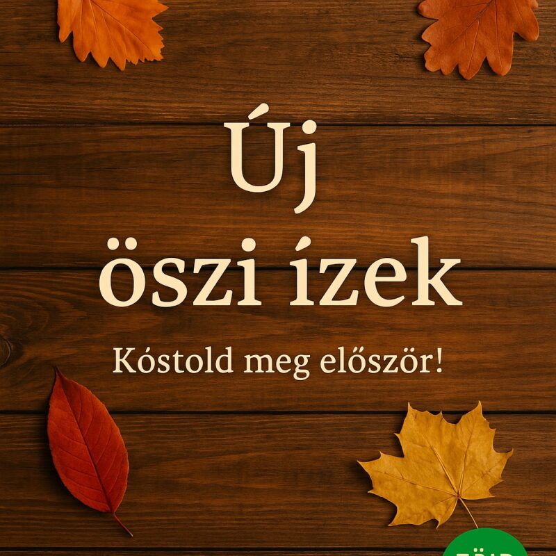 🥣 Alföldi Kolbászos Gombócleves – Tanyasi Ízvarázs